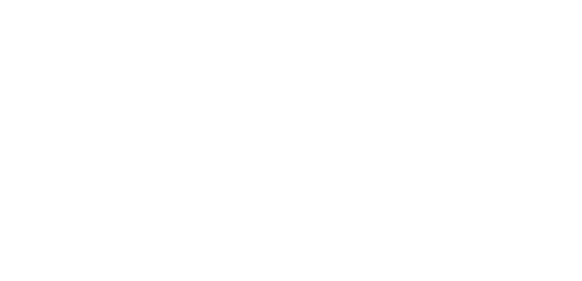 Turix